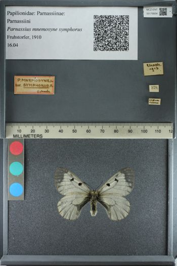 Media type: image;   Entomology 179934
